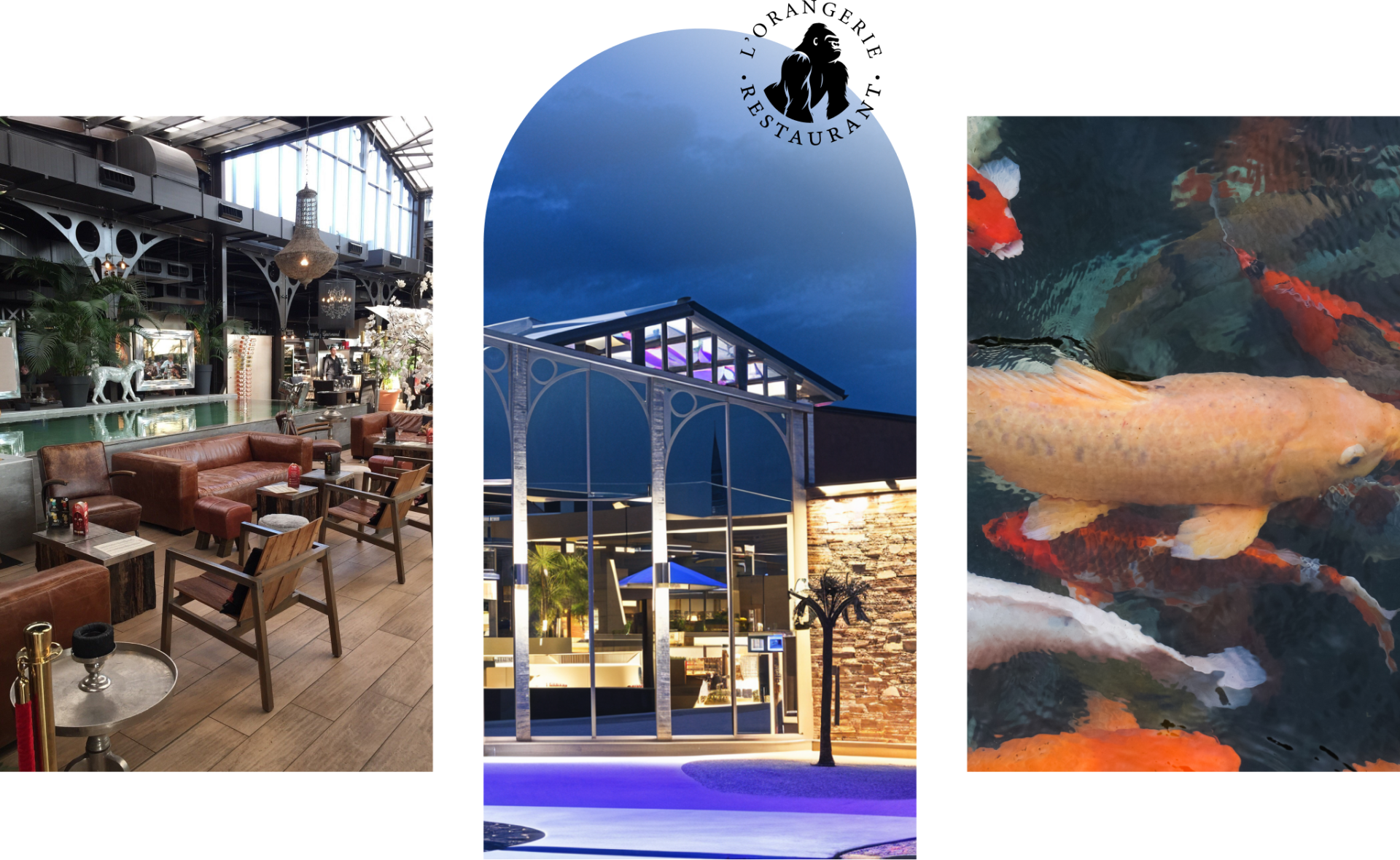 L'Orangerie - Restaurant Saint-Victor - meilleur resto SAINT-VICTOR