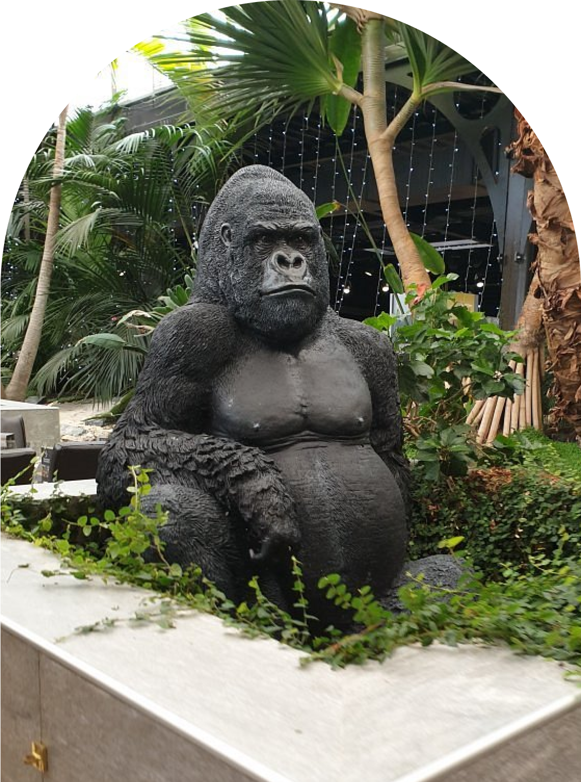 Le restaurant - L Orangerie - restaurant SAINT-VICTOR